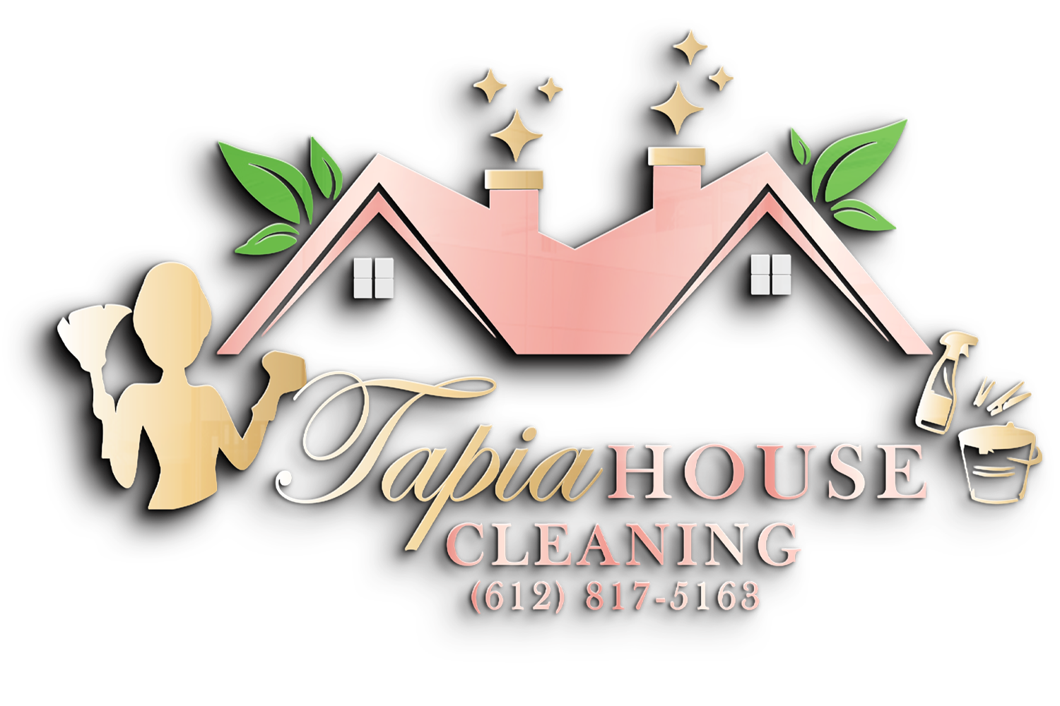 Tapia House Cleaning
